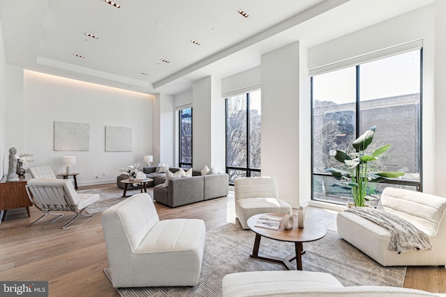 living room featuring light hardwood / wood-style floors and a tray ceiling