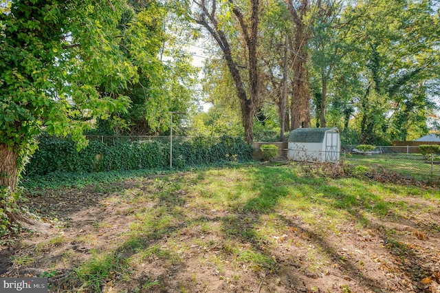 view of yard featuring a shed