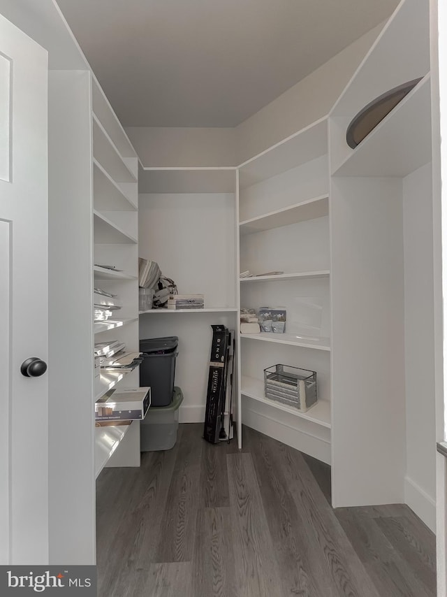 walk in closet featuring dark hardwood / wood-style flooring