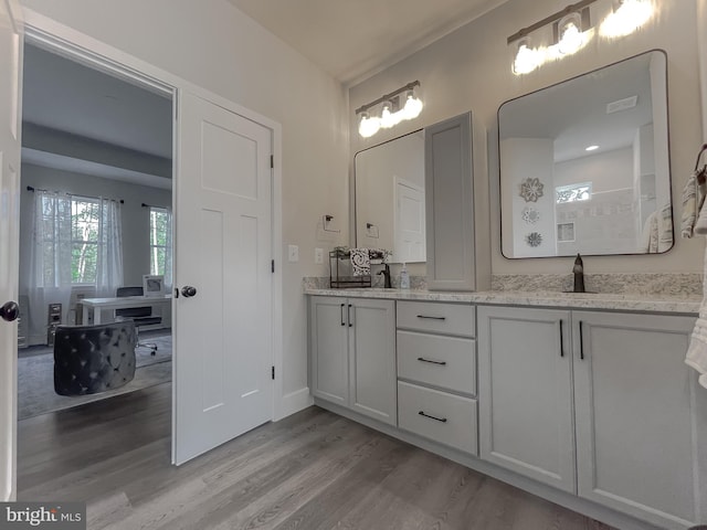 bathroom with hardwood / wood-style flooring and vanity