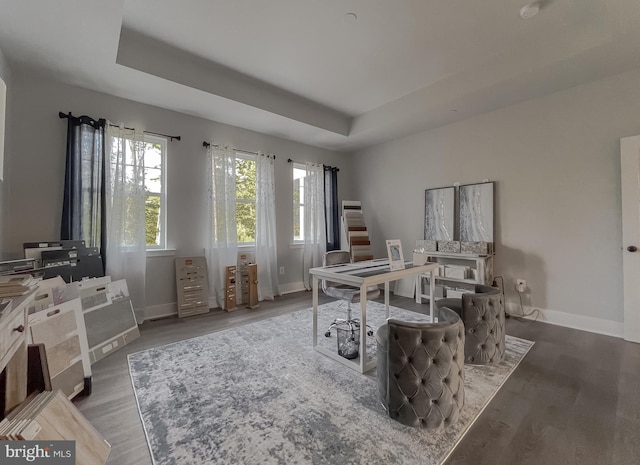 office area featuring hardwood / wood-style flooring and a tray ceiling