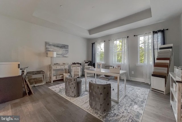 dining area featuring hardwood / wood-style floors and a raised ceiling