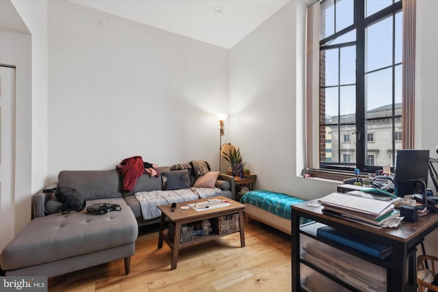 living room featuring lofted ceiling and light hardwood / wood-style floors