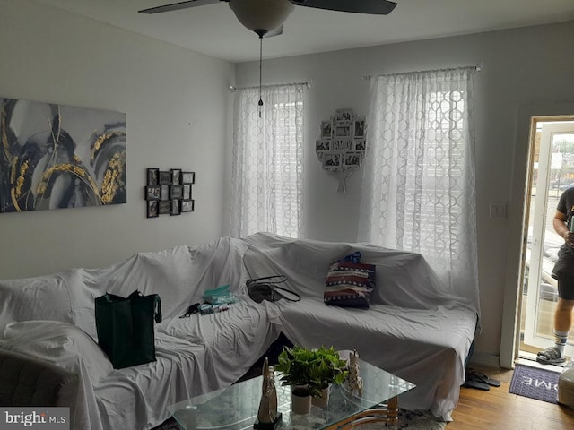 living room featuring ceiling fan and light wood-type flooring