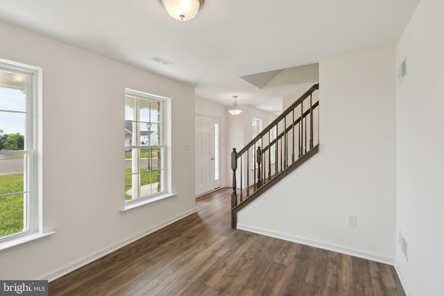 foyer with dark wood-type flooring and a wealth of natural light