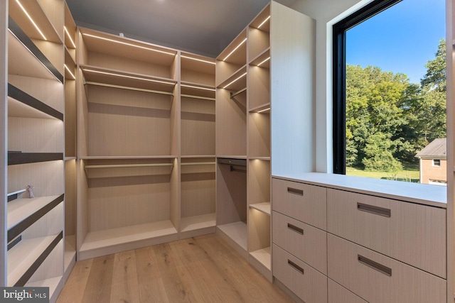 spacious closet featuring light hardwood / wood-style flooring