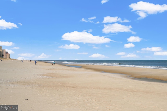 water view featuring a beach view