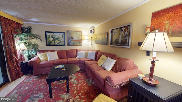 living room featuring a textured ceiling and crown molding