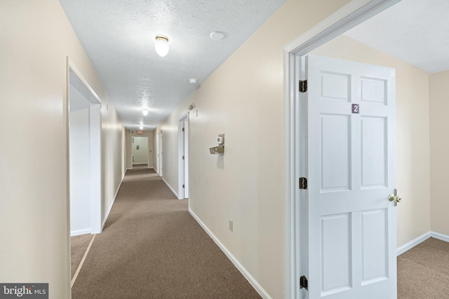 hall featuring light carpet and a textured ceiling