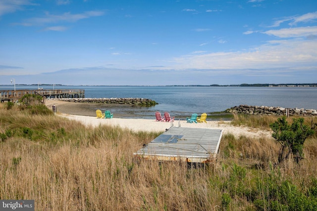 water view featuring a boat dock