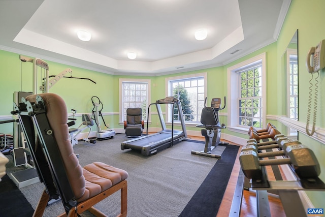 gym featuring a tray ceiling, hardwood / wood-style floors, and crown molding