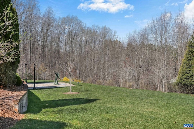 view of property's community featuring a lawn