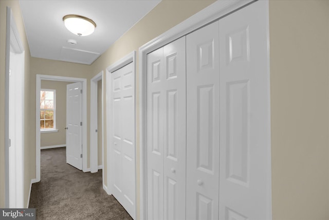 hallway with carpet flooring