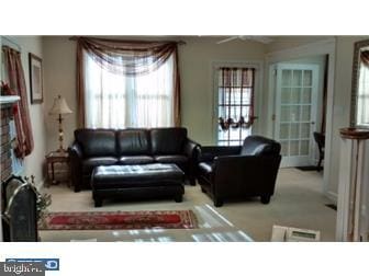 carpeted living room featuring a wealth of natural light