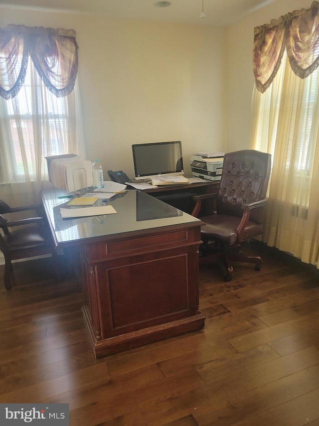 office featuring dark wood-type flooring