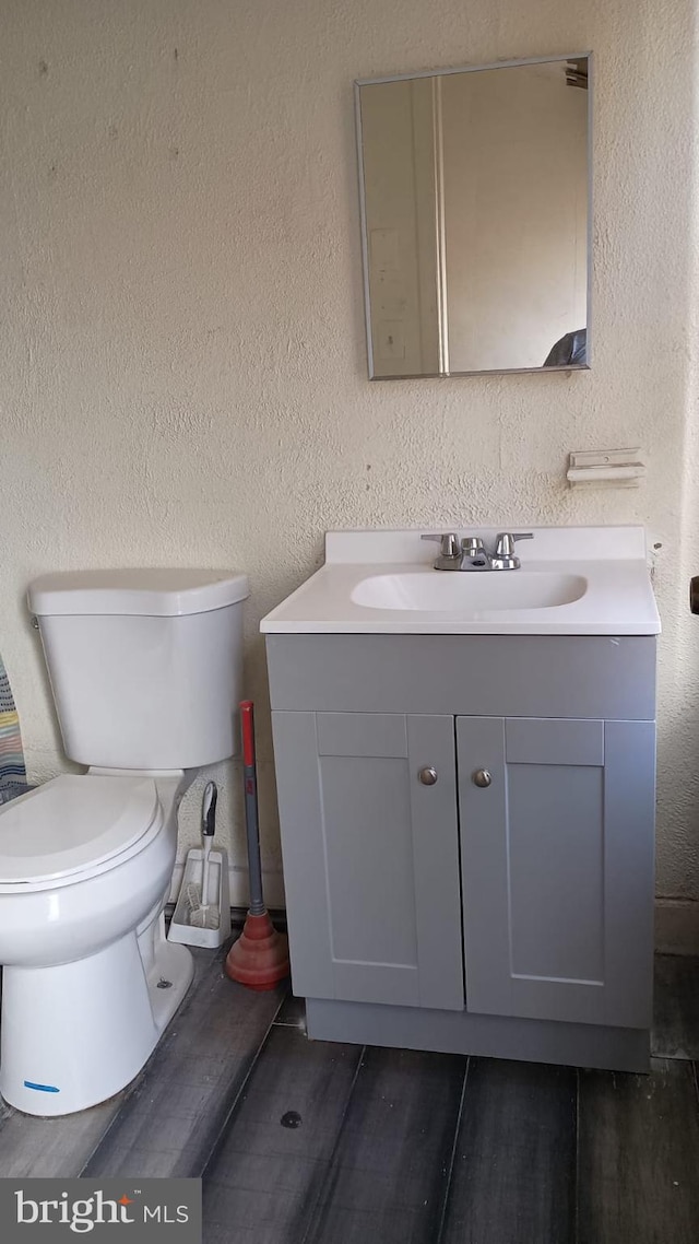 bathroom with toilet and vanity