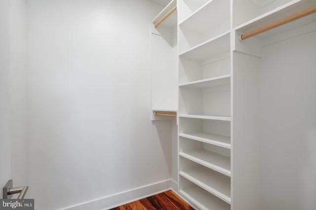 walk in closet featuring dark hardwood / wood-style flooring