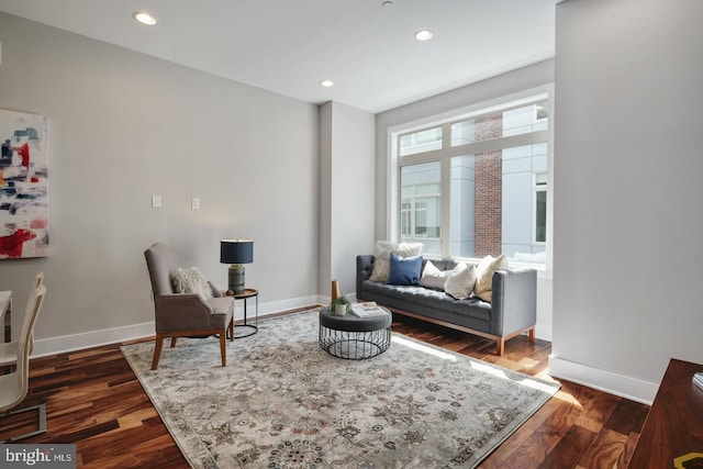 sitting room featuring dark wood-type flooring