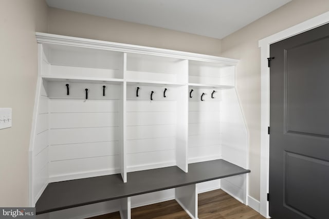 mudroom with wood-type flooring