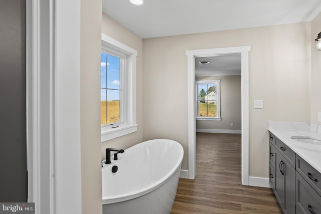 bathroom featuring a tub, hardwood / wood-style flooring, and vanity