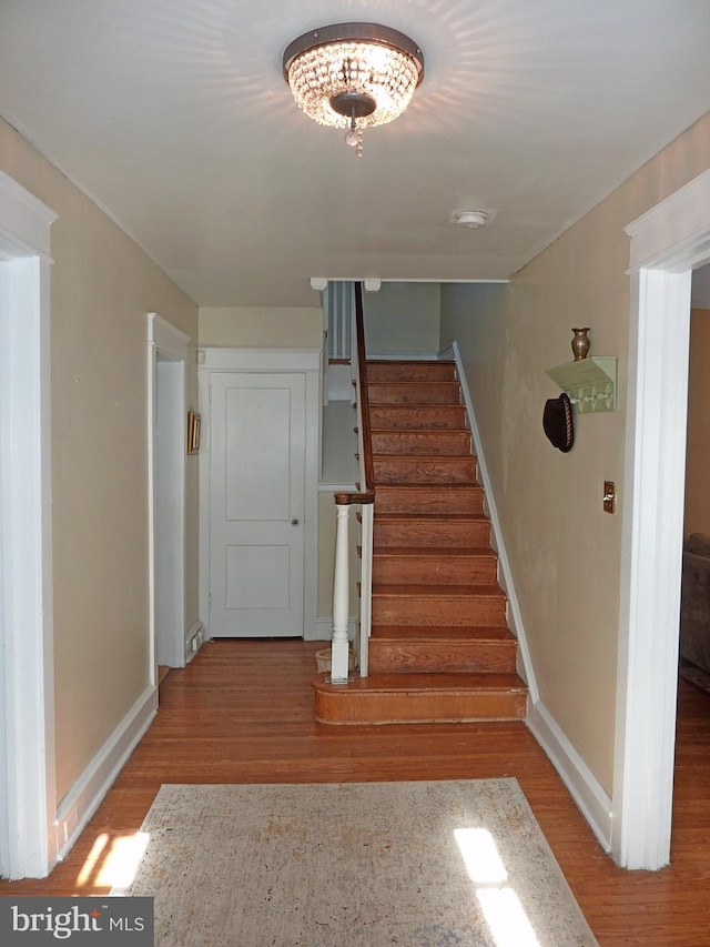 stairway with wood-type flooring