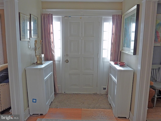 entryway with a wealth of natural light and light hardwood / wood-style floors