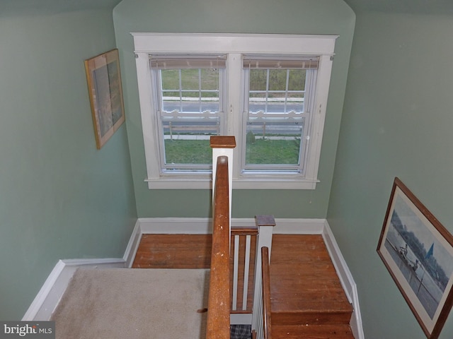 stairs with dark hardwood / wood-style flooring