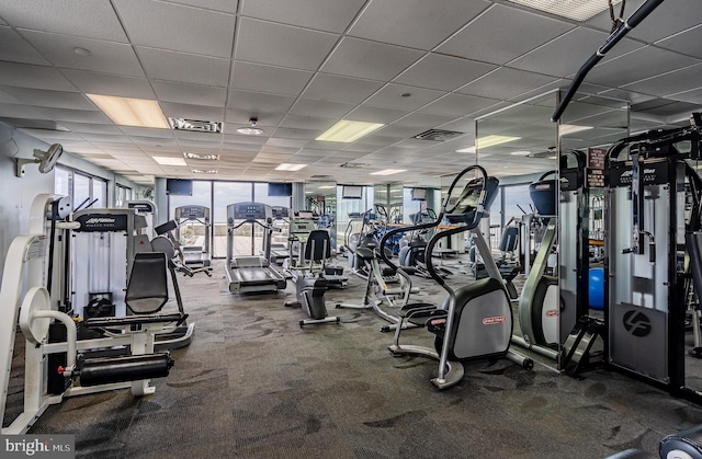 gym with a paneled ceiling, carpet flooring, and expansive windows