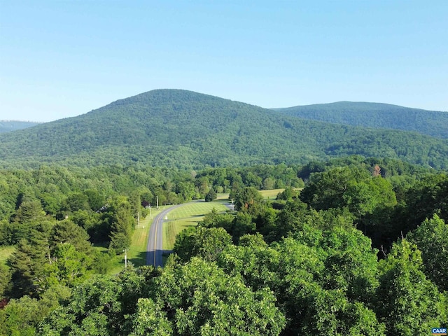 TBD Rodes Valley Dr Unit 4, Nellysford VA, 22958 land for sale