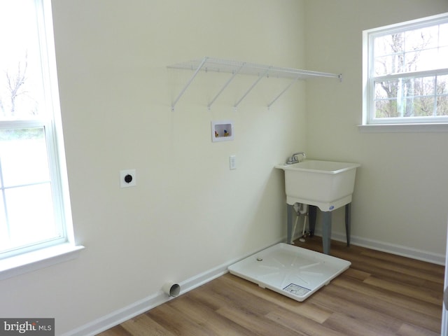 washroom with dark wood-type flooring, a healthy amount of sunlight, and hookup for a washing machine