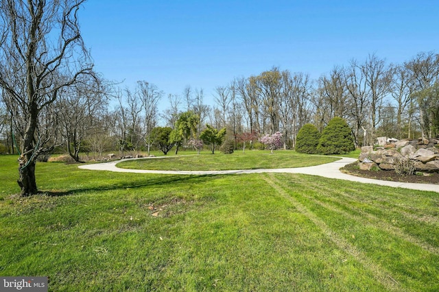 view of property's community with a lawn