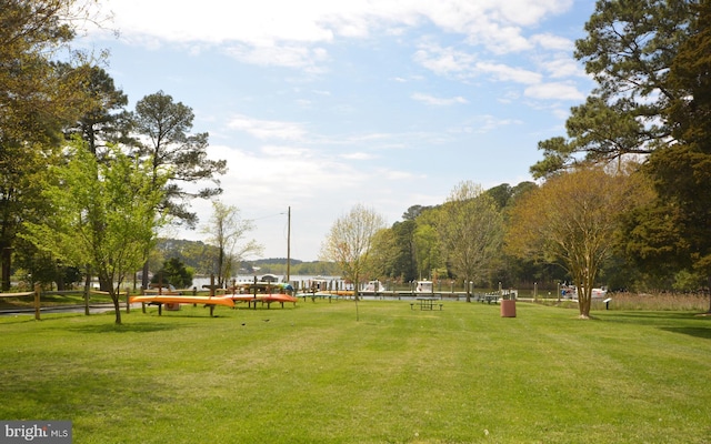 view of property's community with a yard