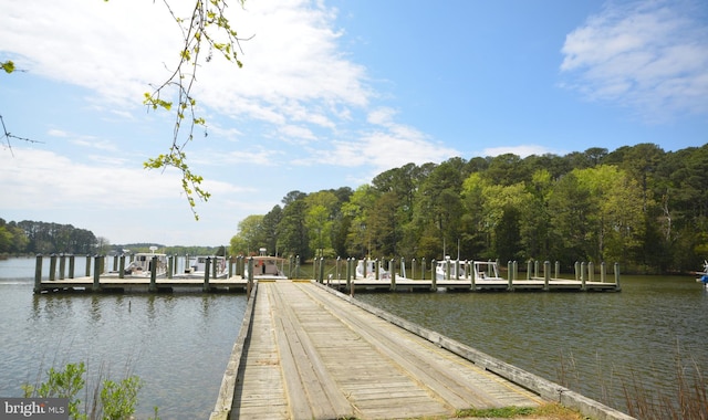 view of dock with a water view