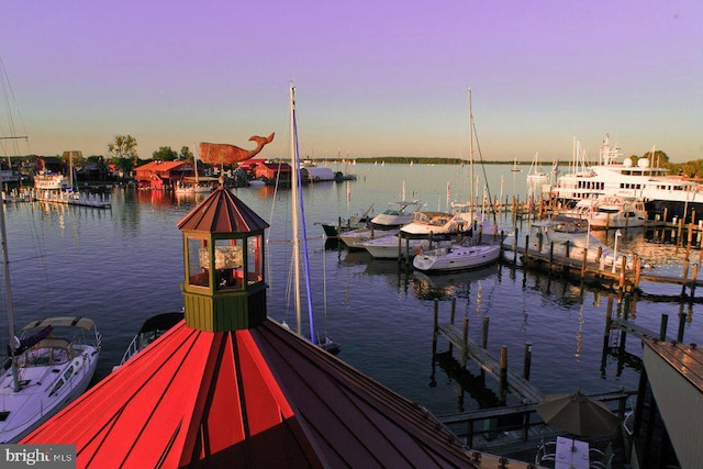 view of dock with a water view