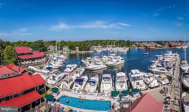 dock area with a water view