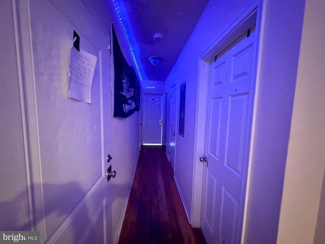 hallway with hardwood / wood-style floors