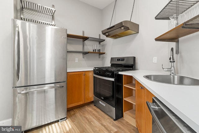 kitchen with exhaust hood, light hardwood / wood-style floors, sink, and stainless steel appliances