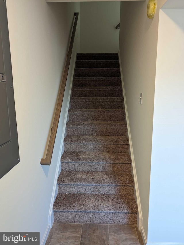 stairs featuring carpet flooring