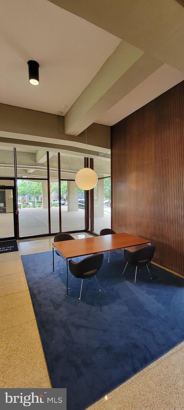 interior space featuring wood walls, dark carpet, and a wealth of natural light