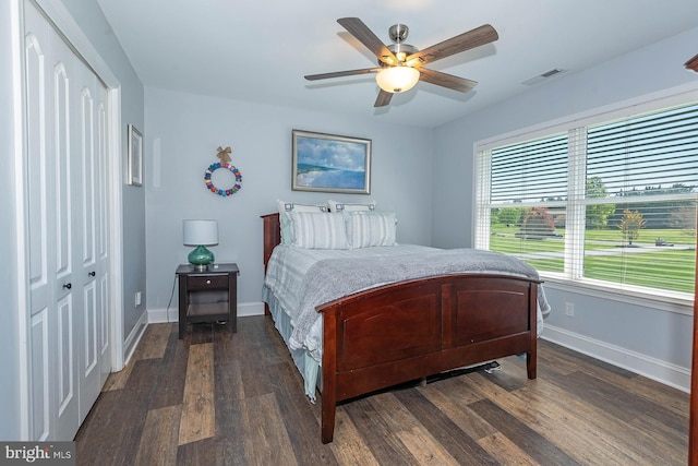 bedroom with multiple windows, ceiling fan, a closet, and dark wood-type flooring