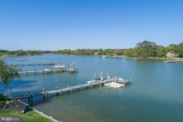 dock area featuring a water view