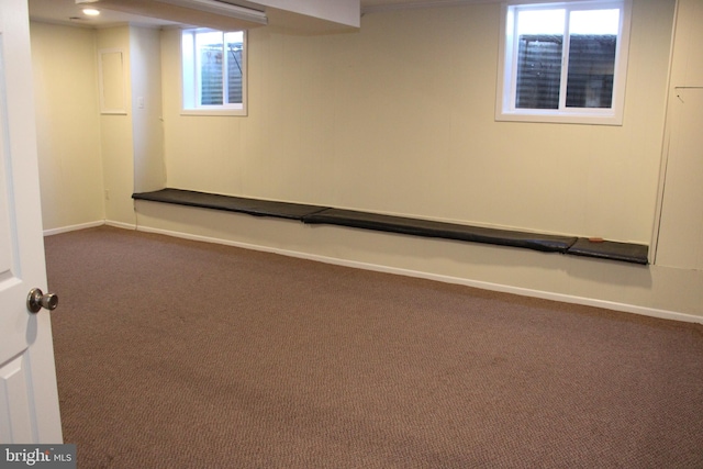 basement featuring dark carpet