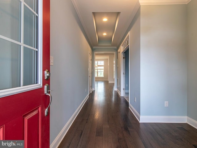 hall featuring ornamental molding and dark hardwood / wood-style flooring