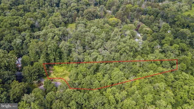 98 Beech Hollow Ln, Princeton NJ, 08540 land for sale