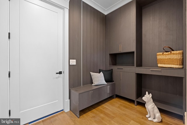 mudroom featuring light hardwood / wood-style flooring