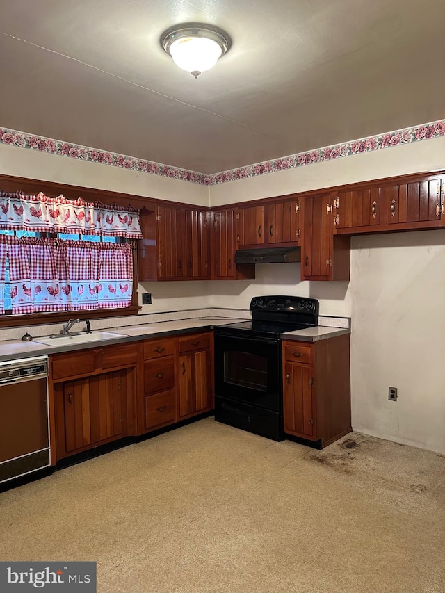 kitchen with sink, dishwasher, and electric range