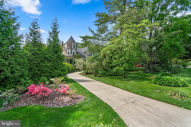 view of property's community with a yard