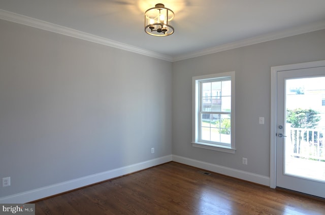 spare room featuring dark hardwood / wood-style flooring, a notable chandelier, and a healthy amount of sunlight