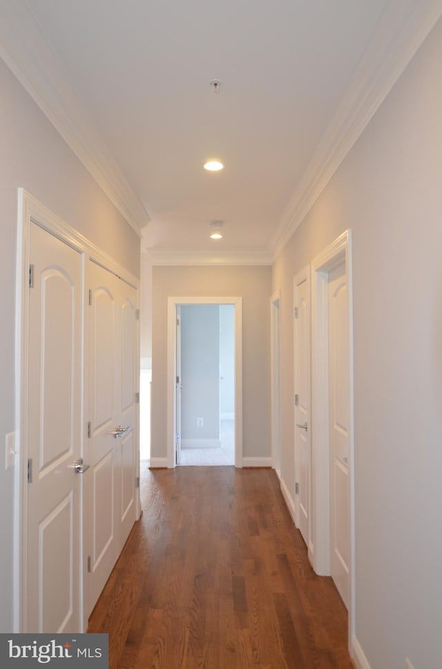 hallway featuring ornamental molding and dark hardwood / wood-style floors