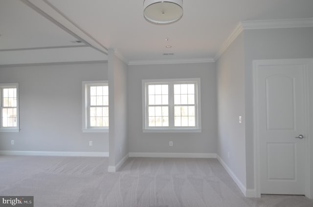 empty room with light colored carpet and crown molding